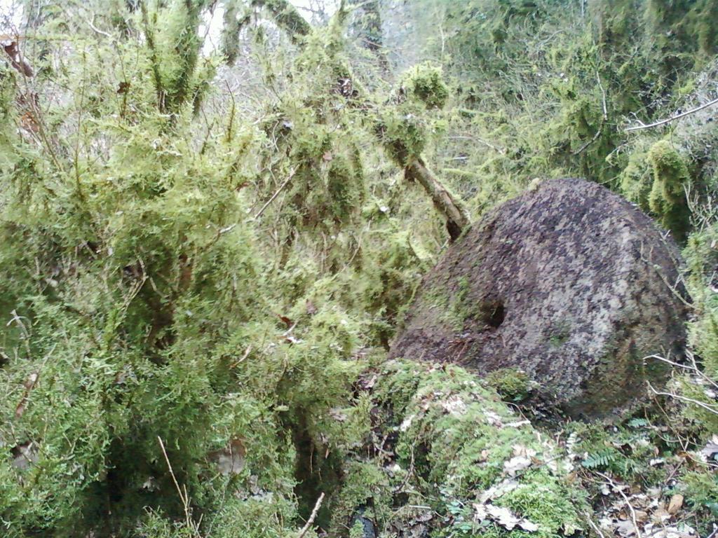 Gite De Charme Auvergne Cab'Ane Brousse Zewnętrze zdjęcie